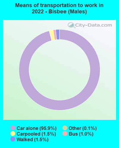 Means of transportation to work in 2022 - Bisbee (Males)