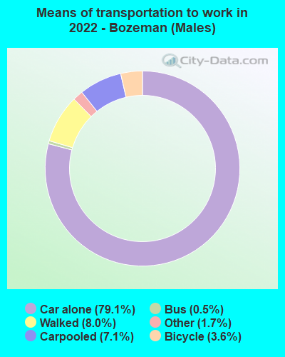 Means of transportation to work in 2022 - Bozeman (Males)
