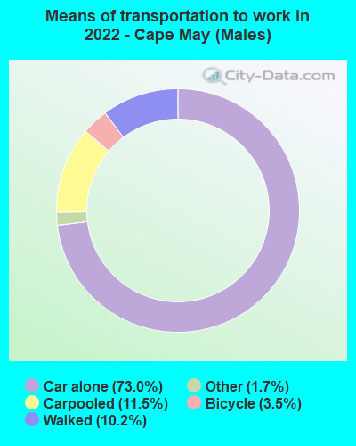 Means of transportation to work in 2022 - Cape May (Males)