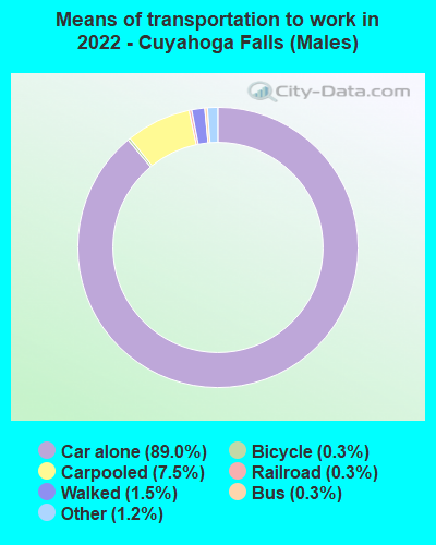 Means of transportation to work in 2022 - Cuyahoga Falls (Males)