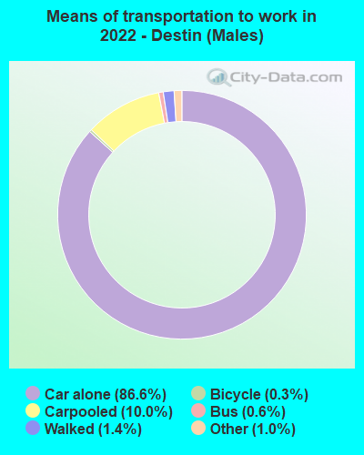 Means of transportation to work in 2022 - Destin (Males)