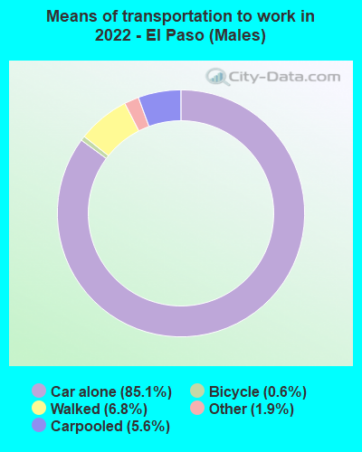 Means of transportation to work in 2022 - El Paso (Males)