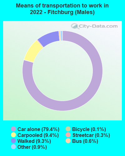 Means of transportation to work in 2022 - Fitchburg (Males)