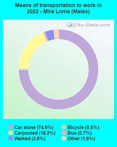Means of transportation to work in 2022 - Mira Loma (Males)