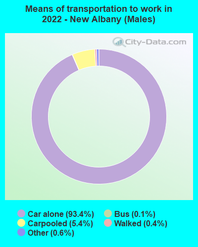 Means of transportation to work in 2022 - New Albany (Males)