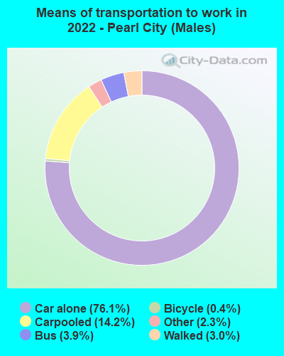 Means of transportation to work in 2022 - Pearl City (Males)