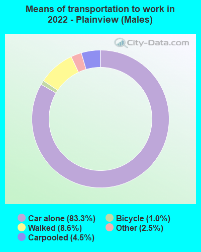 Means of transportation to work in 2022 - Plainview (Males)
