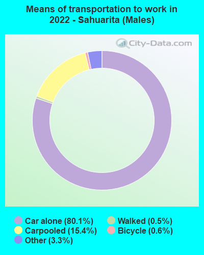 Means of transportation to work in 2022 - Sahuarita (Males)