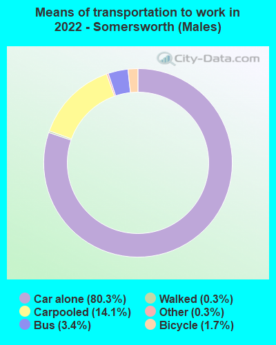 Means of transportation to work in 2022 - Somersworth (Males)