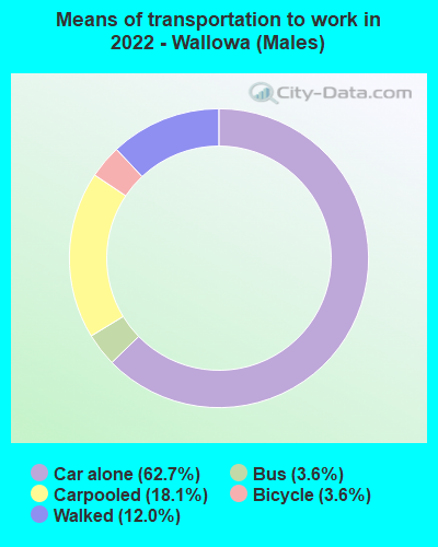 Means of transportation to work in 2022 - Wallowa (Males)