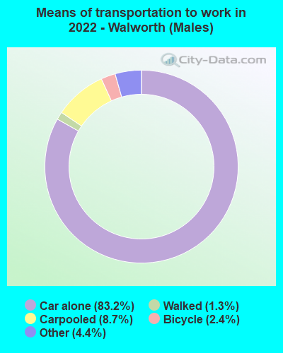 Means of transportation to work in 2022 - Walworth (Males)