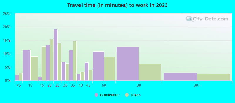 Travel time (in minutes) to work in 2022