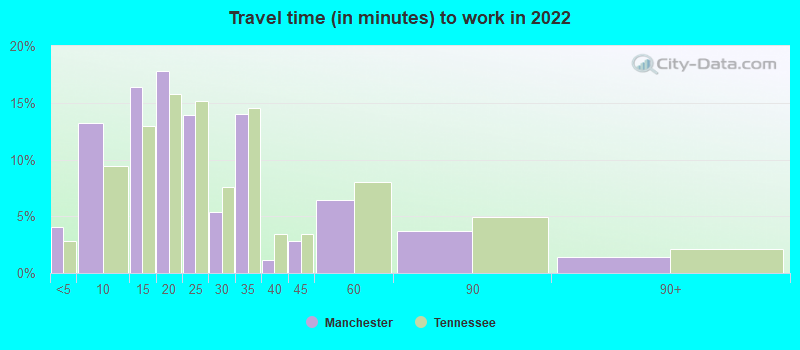 Travel time (in minutes) to work in 2022