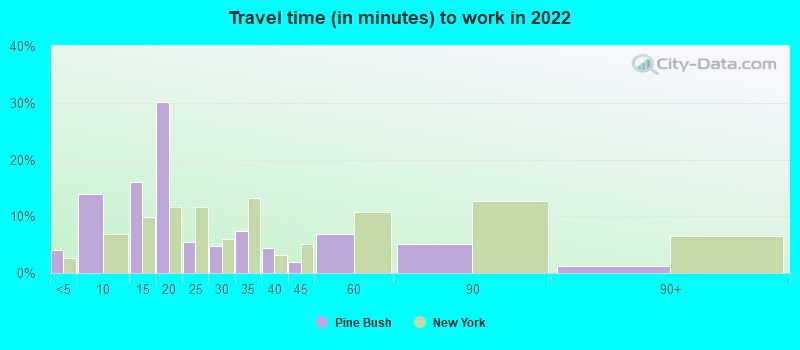 Travel time (in minutes) to work in 2022