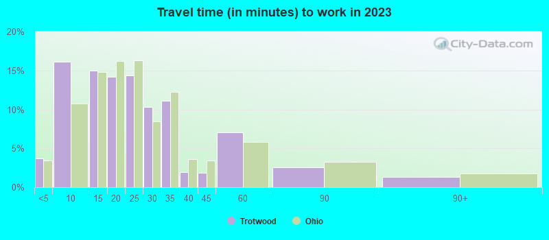 Travel time (in minutes) to work in 2022