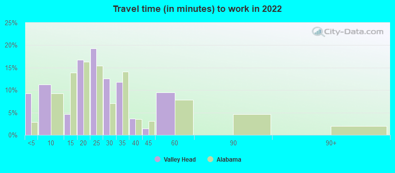 Travel time (in minutes) to work in 2022