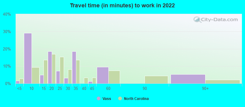 Travel time (in minutes) to work in 2021