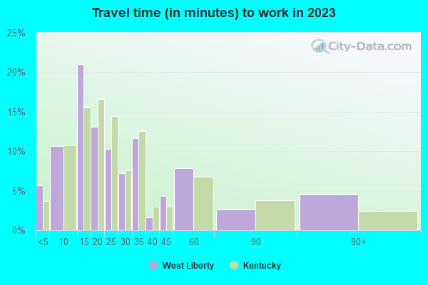 Travel time (in minutes) to work in 2019