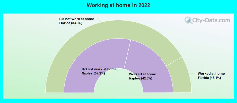 Working at home in 2022