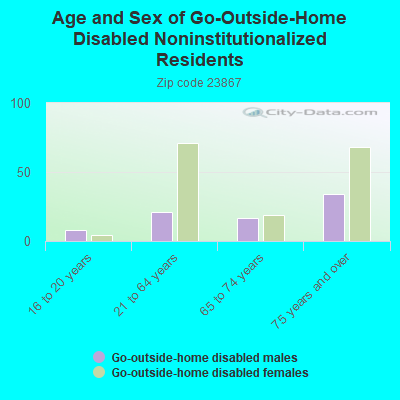 Age and Sex of Go-Outside-Home Disabled Noninstitutionalized Residents