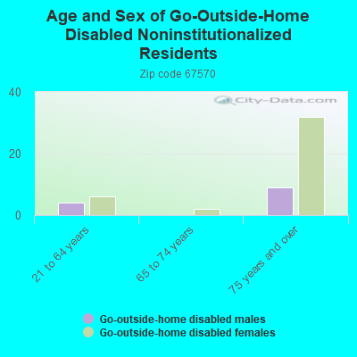 Age and Sex of Go-Outside-Home Disabled Noninstitutionalized Residents