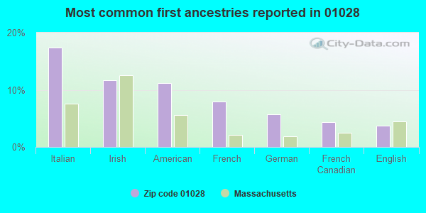 Most common first ancestries reported in 01028