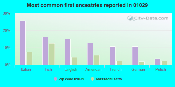 Most common first ancestries reported in 01029