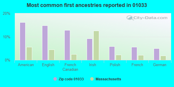 Most common first ancestries reported in 01033