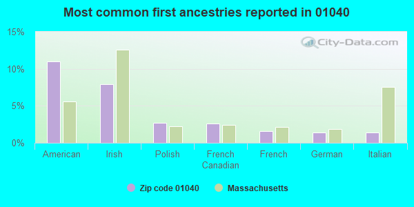 Most common first ancestries reported in 01040