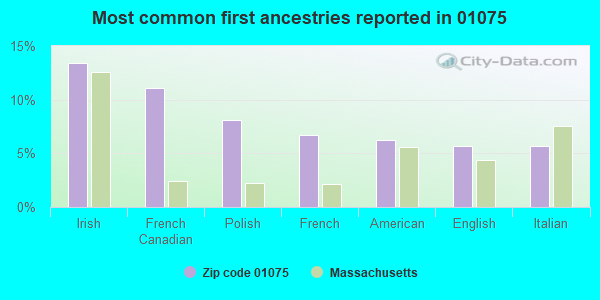 Most common first ancestries reported in 01075
