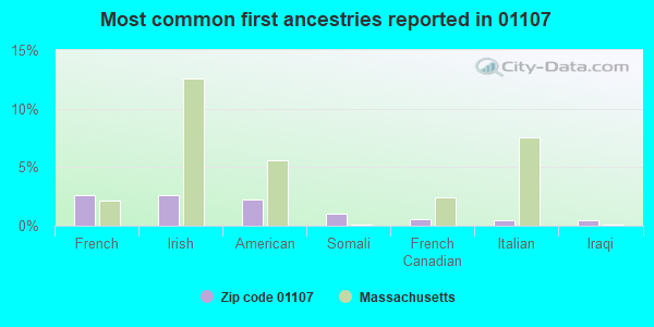 Most common first ancestries reported in 01107