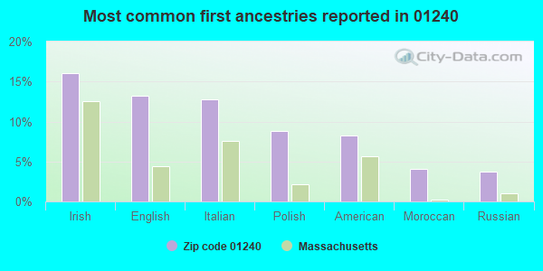 Most common first ancestries reported in 01240