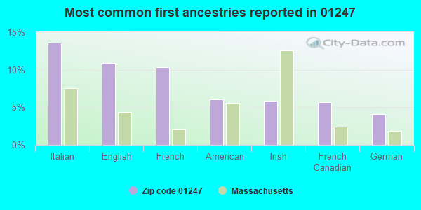 Most common first ancestries reported in 01247