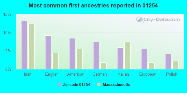 Most common first ancestries reported in 01254