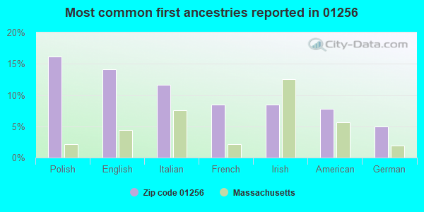 Most common first ancestries reported in 01256