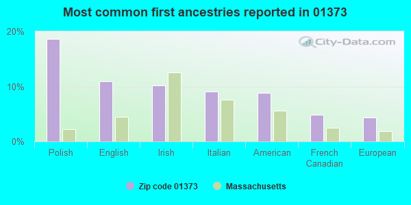 Most common first ancestries reported in 01373