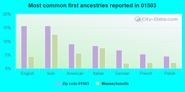Most common first ancestries reported in 01503