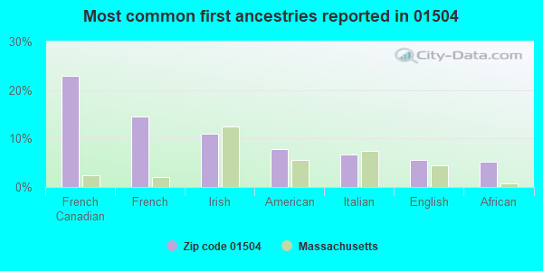 Most common first ancestries reported in 01504