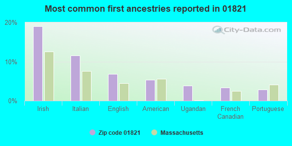 Most common first ancestries reported in 01821