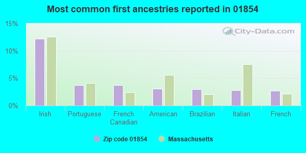 Most common first ancestries reported in 01854