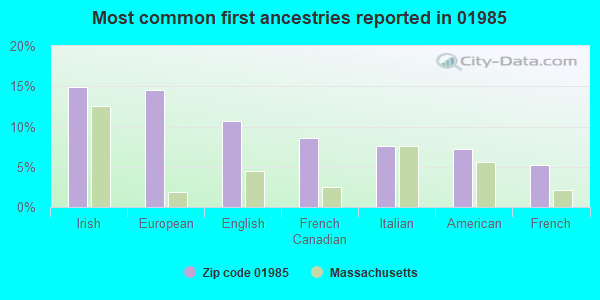 Most common first ancestries reported in 01985