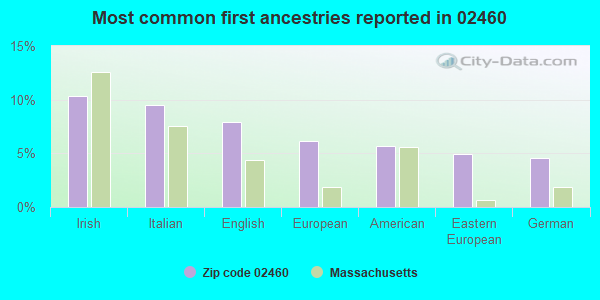 Most common first ancestries reported in 02460