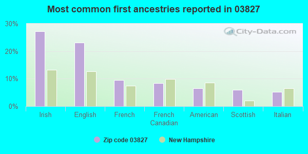 Most common first ancestries reported in 03827