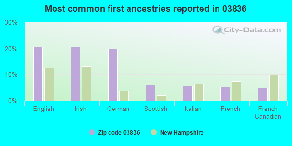 Most common first ancestries reported in 03836
