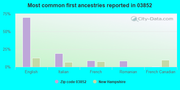 Most common first ancestries reported in 03852