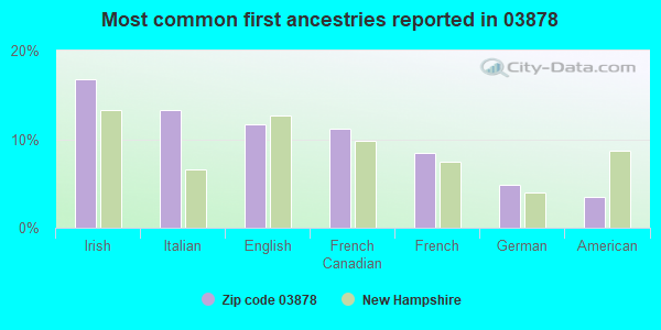 Most common first ancestries reported in 03878