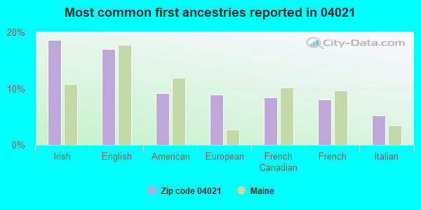 Most common first ancestries reported in 04021