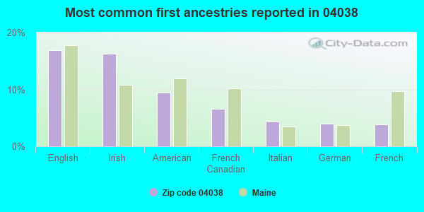Most common first ancestries reported in 04038
