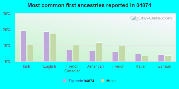 Most common first ancestries reported in 04074