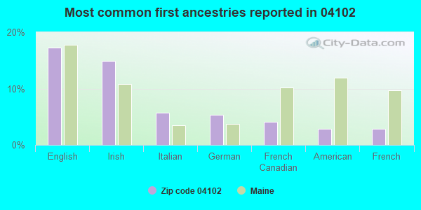 Most common first ancestries reported in 04102